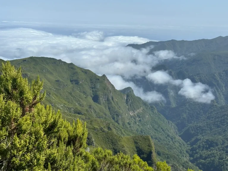 La pas pe traseele din Madeira: descoperă Paradisul drumețiilor