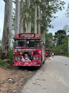 Top 15 sfaturi atunci când călătorești pentru prima dată în Sri Lanka