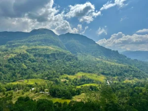Nuwara Eliya – 2 zile și jumătate în Mica Anglie a Sri Lankăi