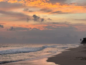 10 plaje de neratat de pe Coasta de Sud din Sri Lanka