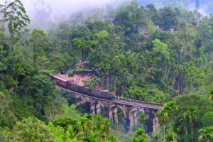 O zi în Ella – descoperă atracțiile și peisajele spectaculoase ale regiunii