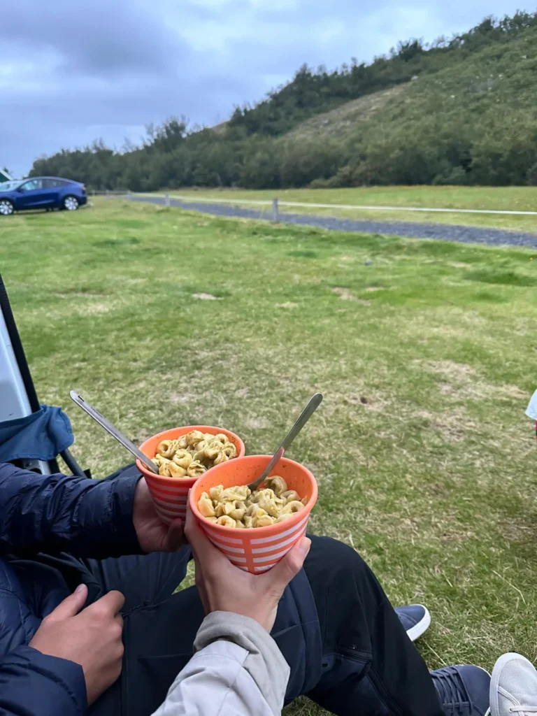 Mesele noastre din Islanda